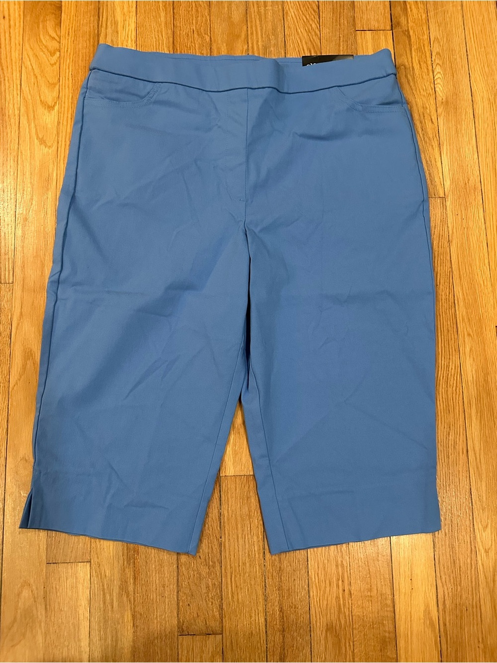 Alfred Dunner Blue Flat Front Stretch Capri